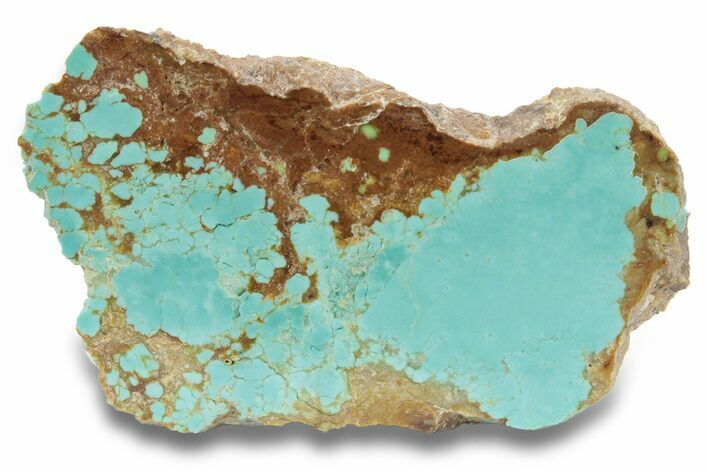 Polished Turquoise Slab - Number Mine, Carlin, NV #248337